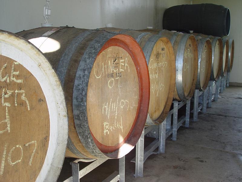 ghinni 065-winery-fermenting.jpg